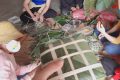 KẾ HOẠCH. 	   Tổ chức “Xuân yêu thương” và chương trình “ Tiếp sức đường dài” Năm học 2020 – 2021