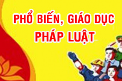 KẾ HOẠCH     Triển khai thực hiện Công tác phổ biến, giáo dục pháp luật  TrườngTH lý tự trọng năm 2019