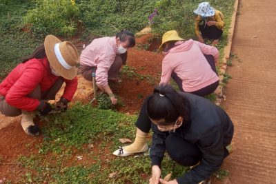 CÔNG TRÌNH THANH NIÊN CHÀO MỪNG ĐẠI HỘI ĐOÀN CÁC CẤP